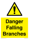 danger-falling-branches~